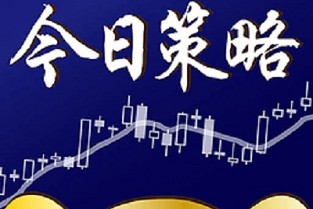 房产策划 大信